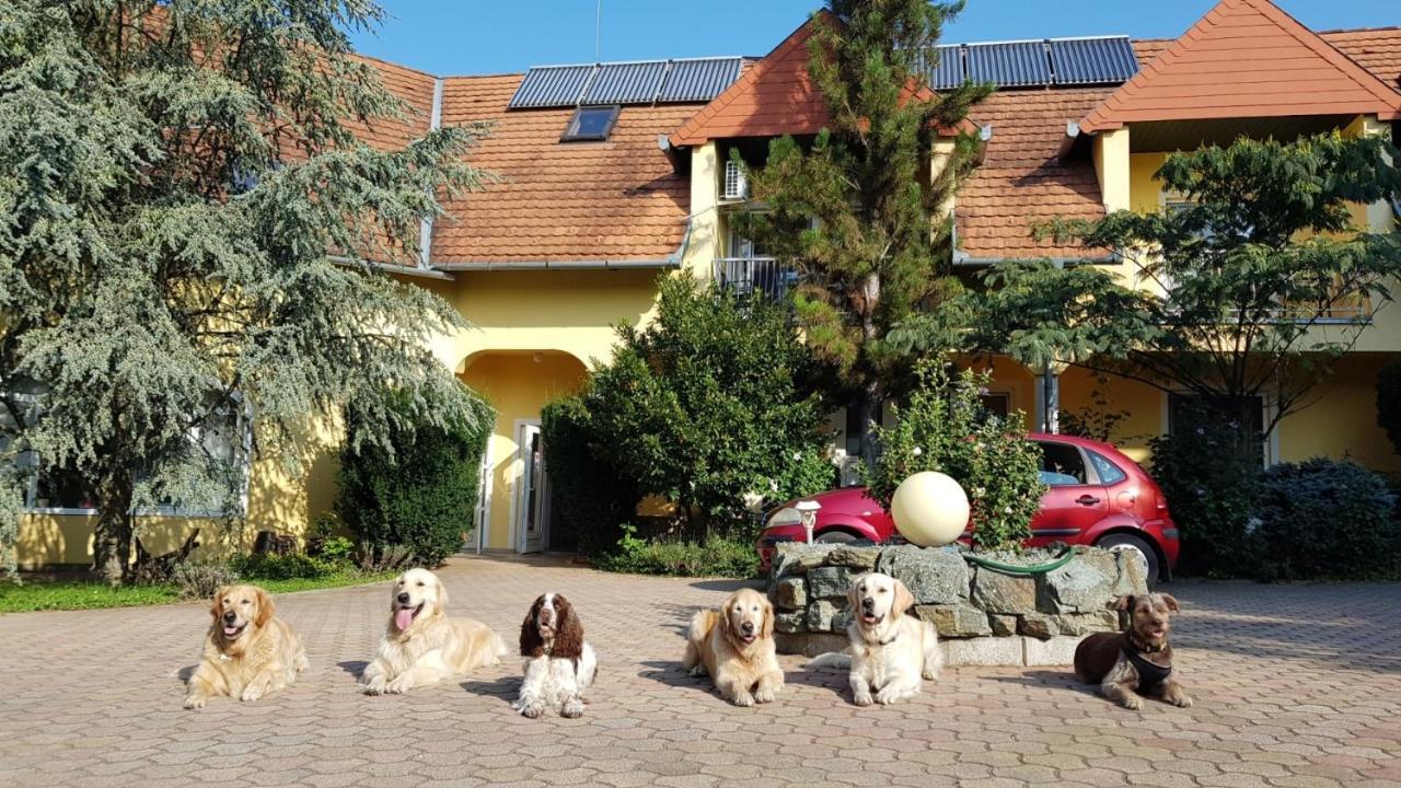Wagner Panzio Hotel Черсектомай Екстериор снимка