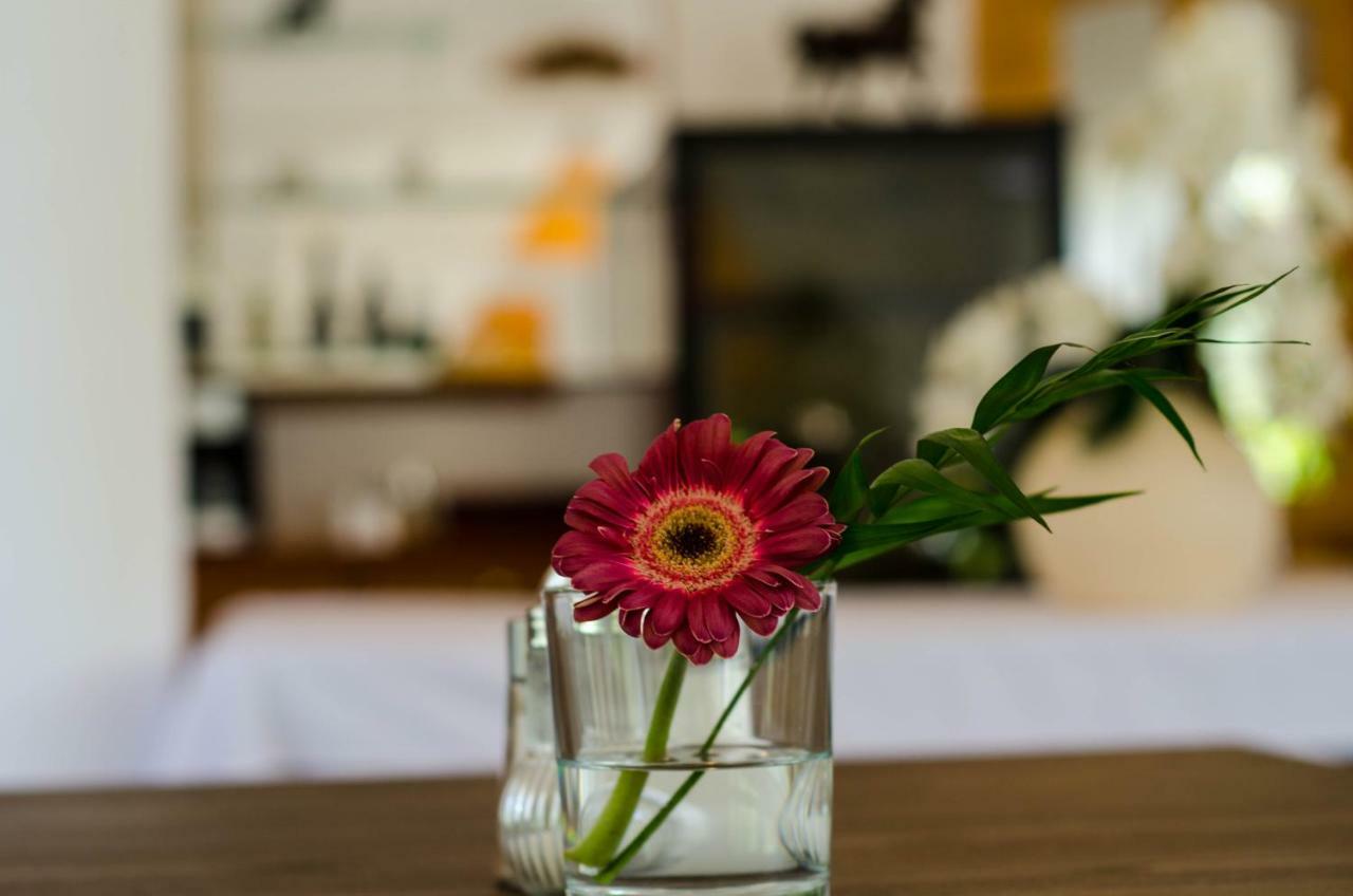 Wagner Panzio Hotel Черсектомай Екстериор снимка